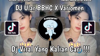 DJ ULAR BBHC X VARIOMEN DUTCH MENGKANE VIRAL TIK TOK TERBARU 2023 YANG KALIAN CARI !