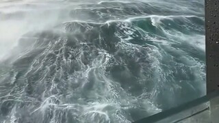 هذا هو البحر الأسود من كتاب الجغرافيا، وعندما تكون هناك ستشعر بعظمة الطبيعة وصغري الإنسان.