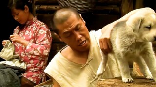 猎人为了证明对狼崽没有恶意，竟在狼王眼前为狼崽包扎伤口