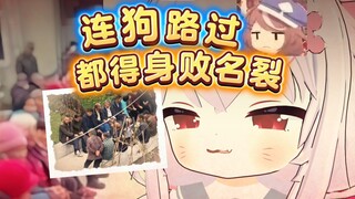 这样的必经之路该咋应对？