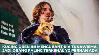 TRUE STORY | KUCING OREN INI MENGUBAH PRIA TUNAWISMA MENJADI ORANG PALING TERKENAL YANG PERNAH ADA