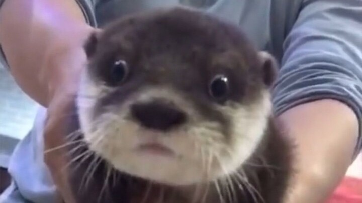 I was totally stunned when I saw it.