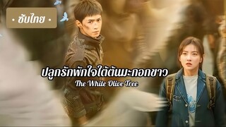 Ep 3