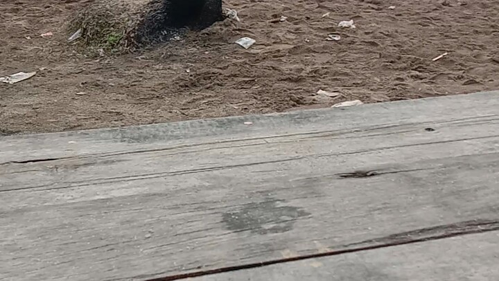 TARKAM