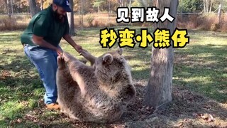 Ketika hewan bertemu kembali dengan teman lama!