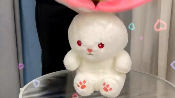 Dengan hubungan kita, ngasih aku satu boneka kelinci stroberi kan nggak berlebihan, ya?