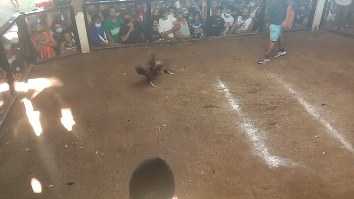 naunahan samin pero nanalo parin . tumambling na si boy tumbling 😁😎🤟🤘