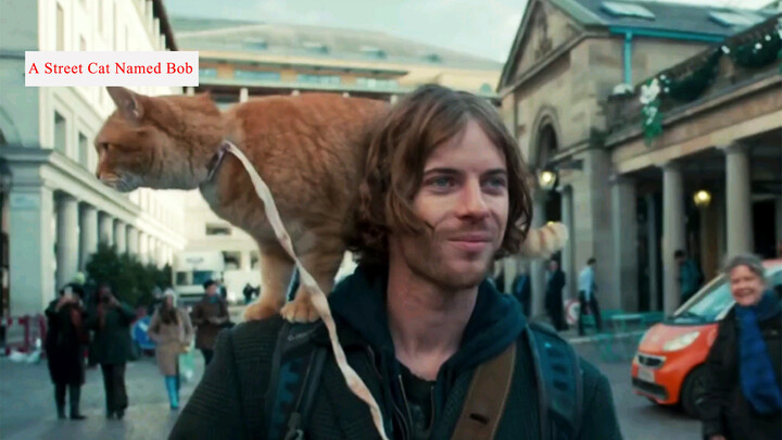 Film dan Drama|Cuplikan "A Street Cat Named Bob"