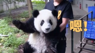 Aku hampir ketawa. Kok bisa dia ngerti bahasa manusia? Pintar banget, yakin nggak cuma pura-pura? Ha
