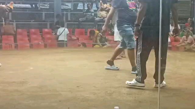 bulikick
