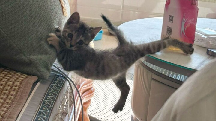 《Giúp tui đi, giúp tui đi》