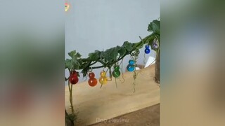 Mùa dịch này rảnh rổi m.n thường làm gì ?? 🙄🙄reviewphim reviewphimhay