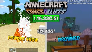 UPDATE! MCPE BETA VERSI TERBARU 1.16.220.51 - FIX BUG POWDER SNOW & DROWNED