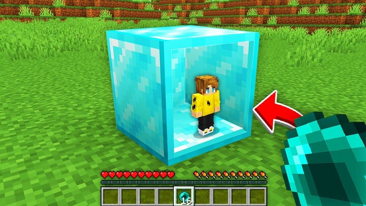 Minecraft, But You Can Go Inside Any Block..