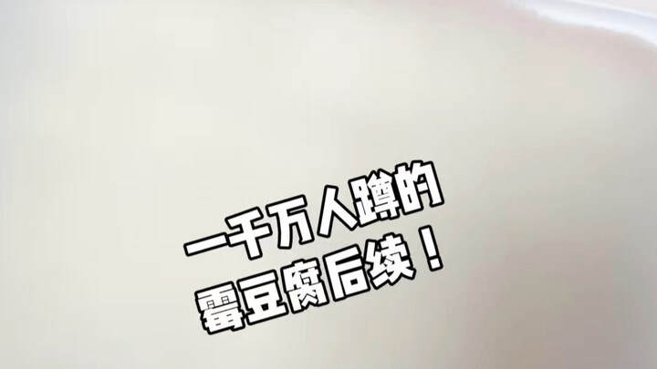 Update lanjutan pembuatan tahu berjamur buatan sendiri telah tiba!