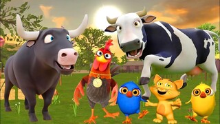 El Pollito Pío y el Tractor de la Granja Canciones de la Granja de Zenón Toro