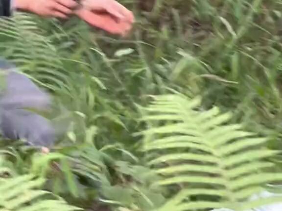 Đây có phải cao thủ không?