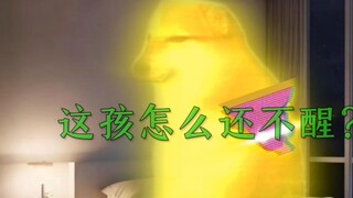 "Wallpaper Burung" (17.5) transisi "Akademi Militer Burung" ~