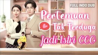pertemuan tak terduga eh malah jadi istri CEO