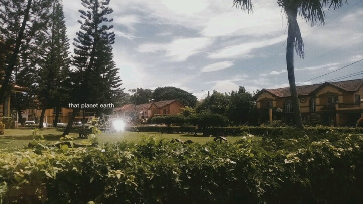 🌿🌸