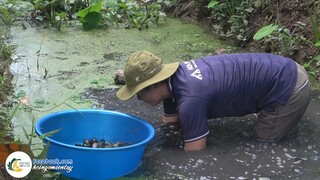 SANG NHÀ HÀNG XÓM XIN BẮT "CON NÀY" | Hội Ngộ Miền Tây - Tập 561
