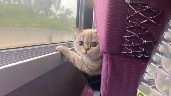 “สวัสดี โปรดอย่าเตะเก้าอี้ของฉันได้ไหม”