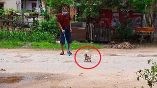 So Funny Tiny Liheang Meet Old Man On The Street