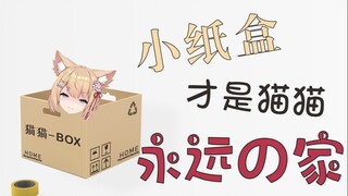 [Ngắm mèo trong 5 phút] Chiếc hộp nhỏ này là nhà của bạn
