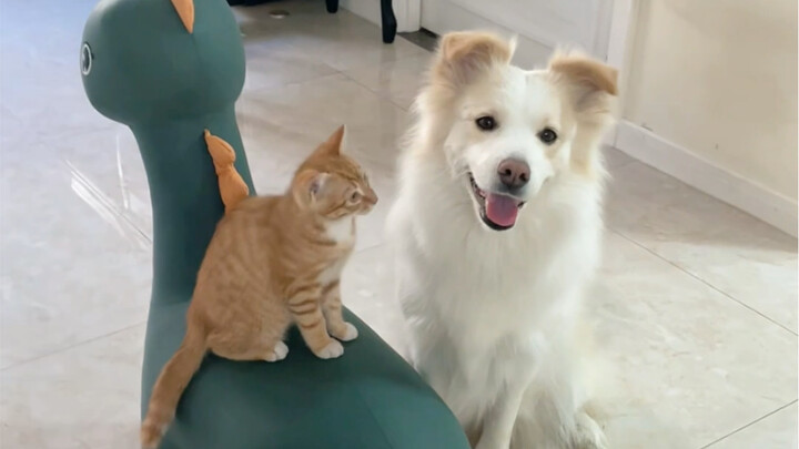 Duoduo is like the Six Vein Divine Sword—sometimes it works, sometimes it doesn’t.