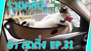 รวมคลิป ตลก สุดฮา เจ็บๆ มันส์ๆ EP31 Sabai Sabai