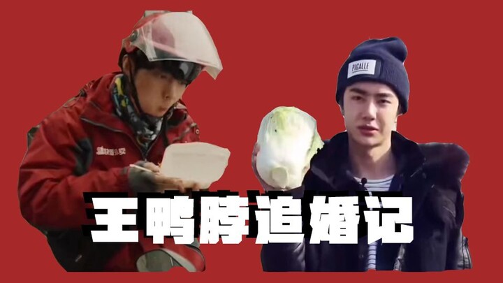 [Bo Jun Yi Xiao] Wang Ya Bo’s Marriage-Chasing Story | Narrative-Style | Silly and Sweet