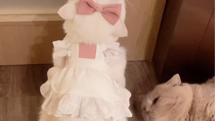 The Diva Princess and the Humble Security Guard