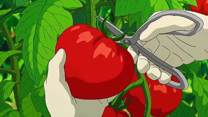 Ghibli ASMR