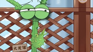 火龙果也要996，还让不让果休息啦！