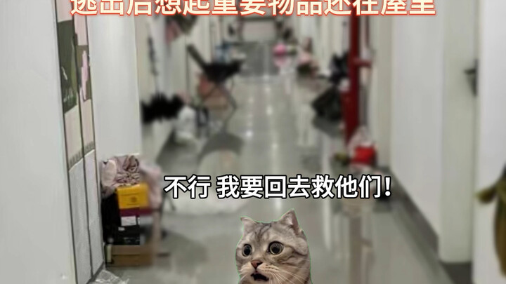مع زميل سكن مثل هذا، ماذا يمكنني أن أطلب أكثر من ذلك؟