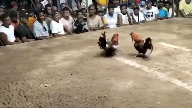 3rd fight win