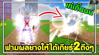 ฟามผลยางให้ได้เกียร์2ตึงๆ เท่เกิ๊นนน blox fruit / roblox