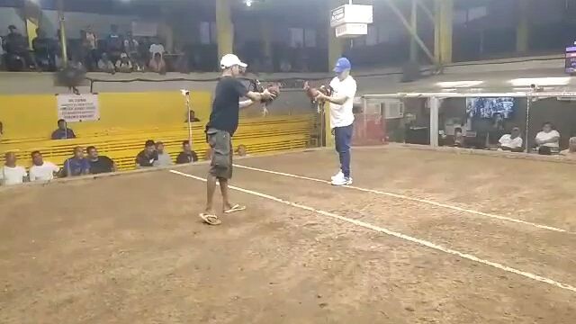 grabe kalaban big time,, buti swerte lakas Ng manok