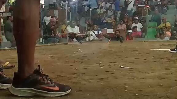 #win