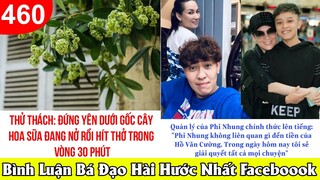Hồ Văn Cường là ai, quản lý Phi Nhung nói gì - TOP COMMENTS - BÌNH LUẬN BÁ ĐẠO HÀI HƯỚC #460