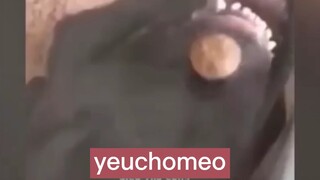 nghịch ngu số 1🤣