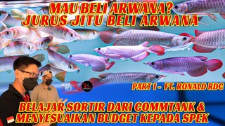 TIPS & TRIK MEMBELI ARWANA SUPER RED ! PILIH DARI COMTANK? SIAPA TAKUT! - Master Class Arwana