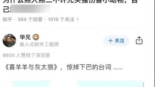 Why did Big Bear and Little Bear not allow Bald Qiang to hurt small animals, but caught fish to eat 