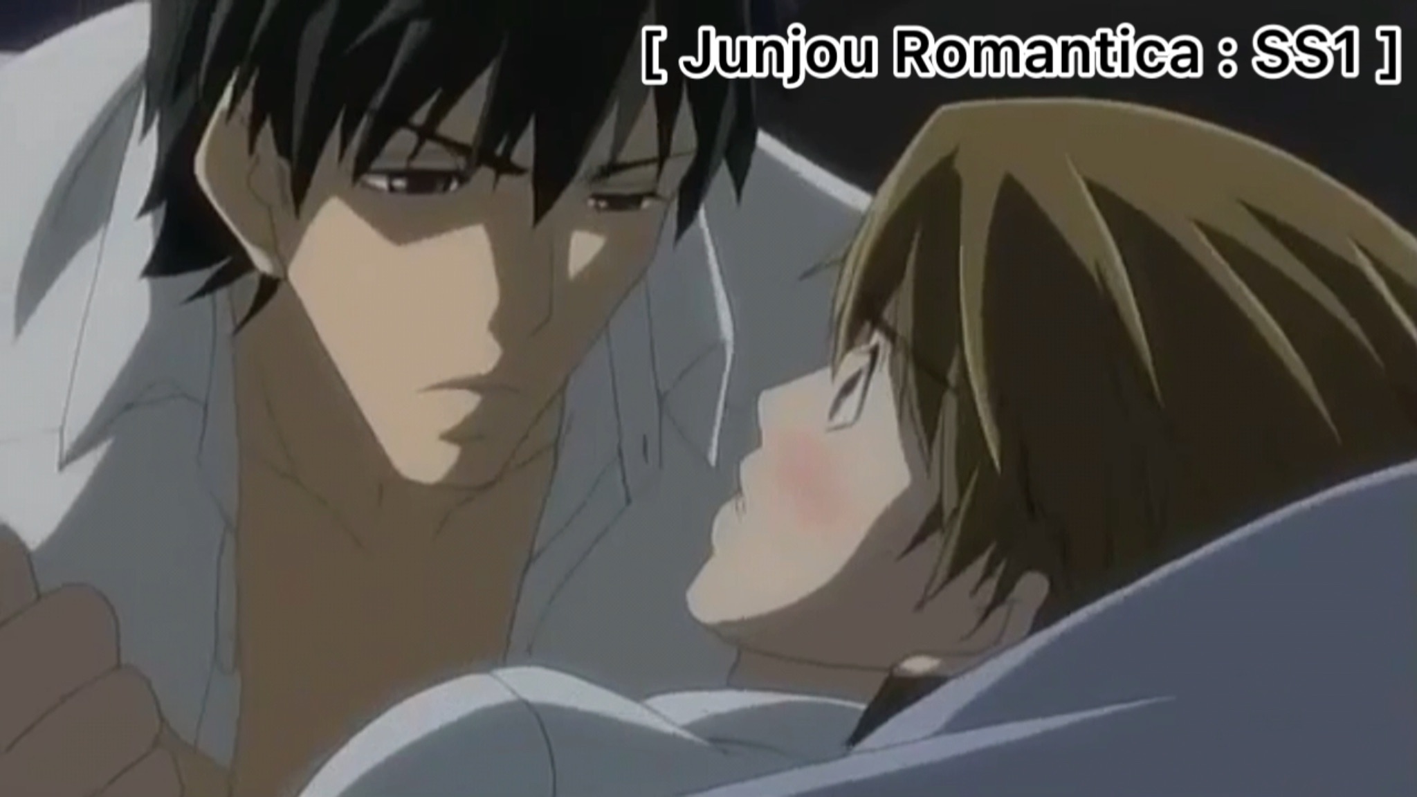 Shinobu Junjou Romantica Manga