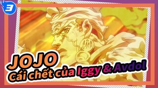 [JOJO] Cái chết của Iggy & Avdol_3