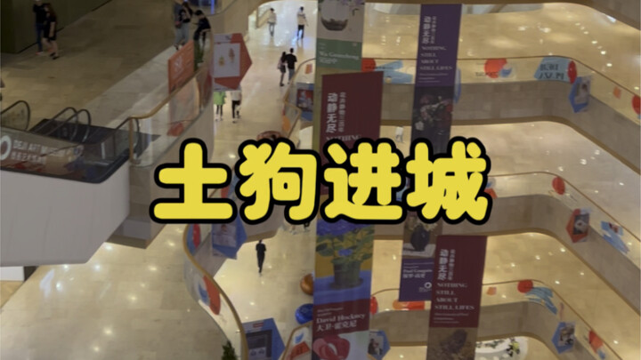 土狗进城