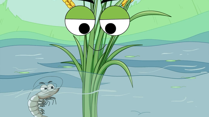 Chẳng trách gạo tôi ăn lại có vị tôm!