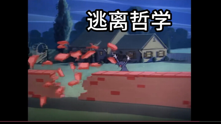 用猫和老鼠跑一下从胡塞尔到海德格尔的现象学发展