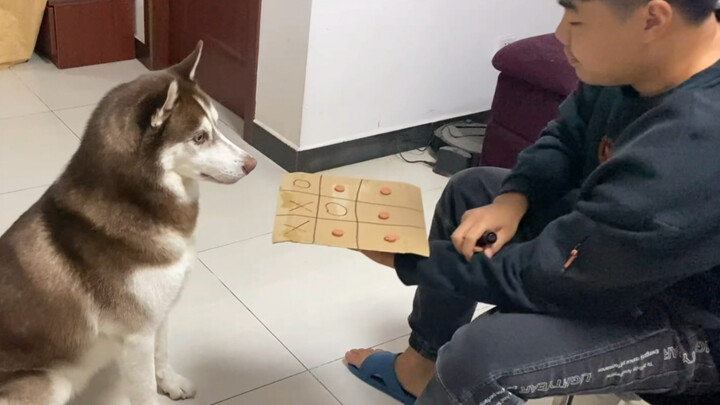 Win and you’re better than a dog; lose and you’re worse than one!