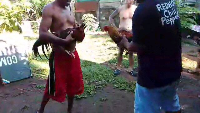 Immortal bulik practice fight.
